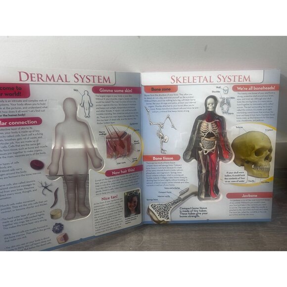 Uncover The Human Body 3D Board Book By Luann Colombo Hardcover 2002 - Picture 3 of 5